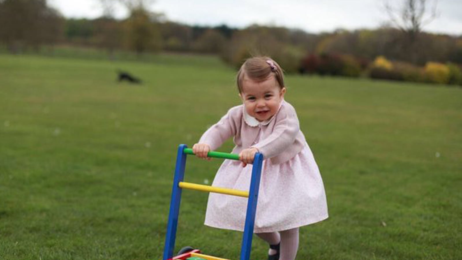 articles/2016/05/01/princess-charlotte-photographed-by-kate-turns-one/charl_srastg