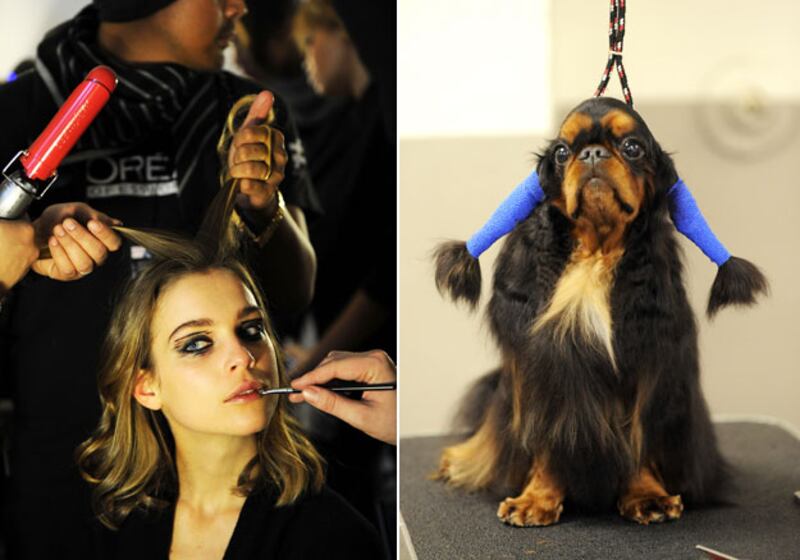 galleries/2010/02/16/westminster-fashion/westminster-fashion---posen-2_ughp36