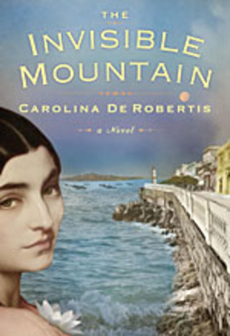 articles/2009/07/28/south-american-dreamers/nelson-invisible-mountain---book-cover_dfxhel