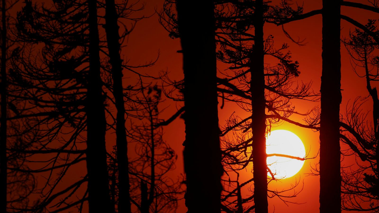 2021-09-02T033818Z_1041620638_RC2DHP9SA4NL_RTRMADP_3_USA-WILDFIRES_oxlikb