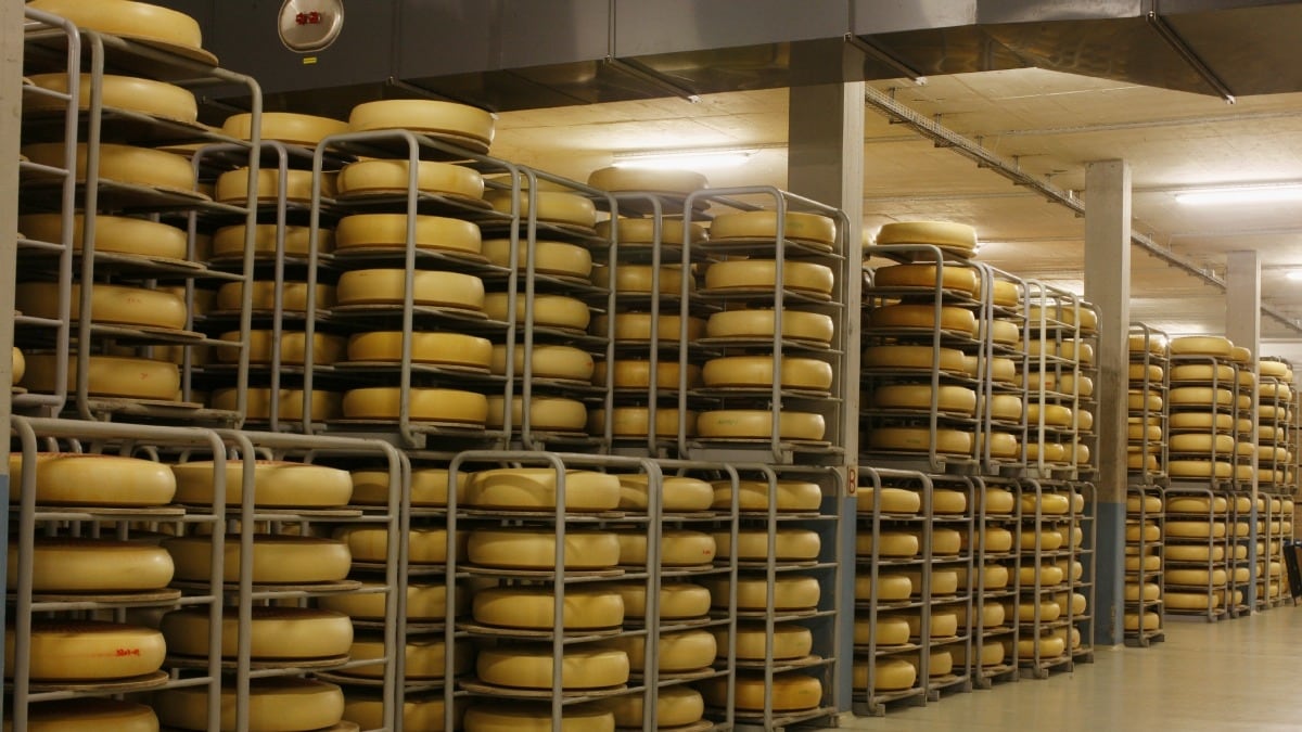 cheats/2013/03/29/man-charged-for-cheese-heist/cheese-heist-cheat_nkclfe