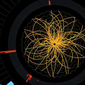 articles/2012/07/06/after-the-higgs-boson-what-scientists-will-do-with-the-discovery/higgs-boson-carroll_qniqvp