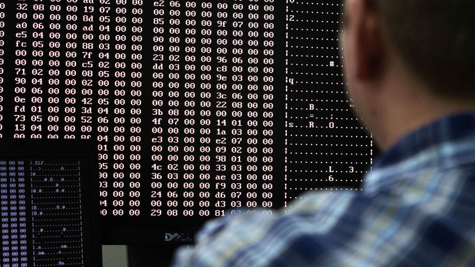 hacking_leimgy