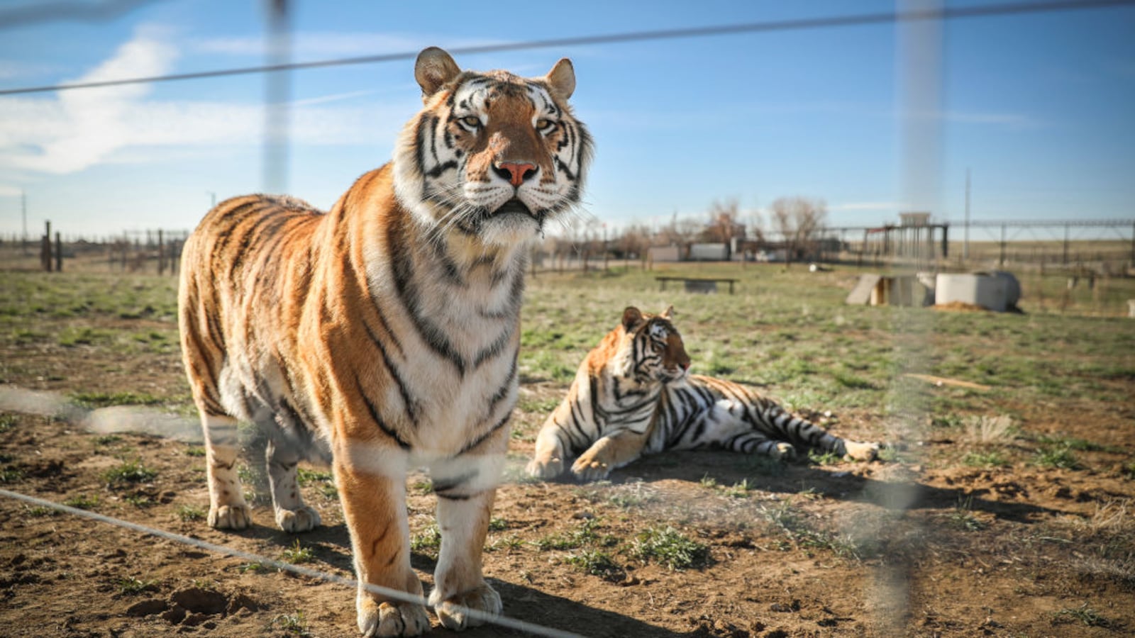 GettyImages-1209190053_1_woxyom