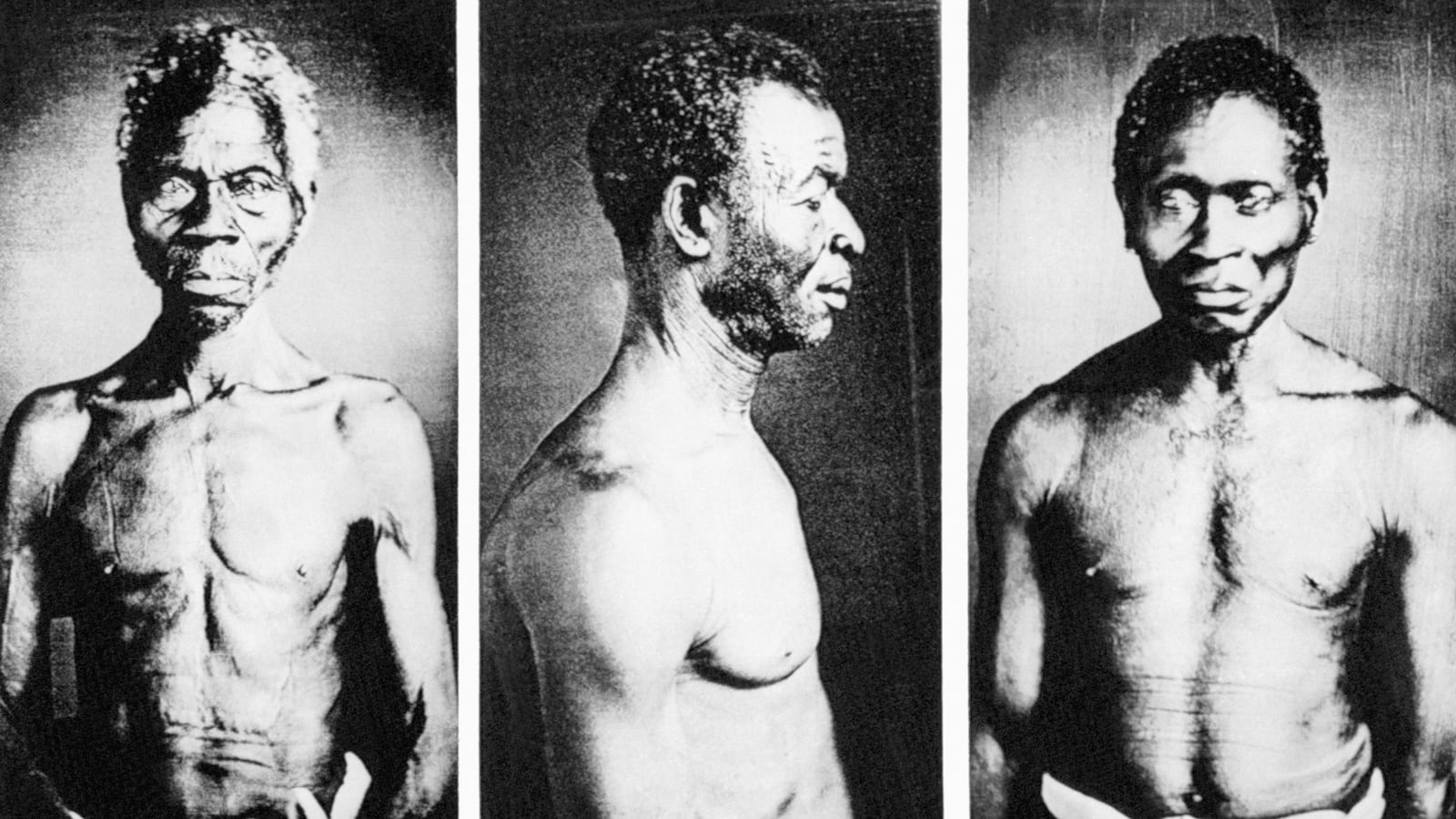 Daguerreotypes showing (L-R): a Congo slave named Renty, who lived on B.F. Taylor's plantation, "Edgehill"; Jack, a slave from the Guinea Coast (ritual scars decorate his cheek); and an unidentified man.
