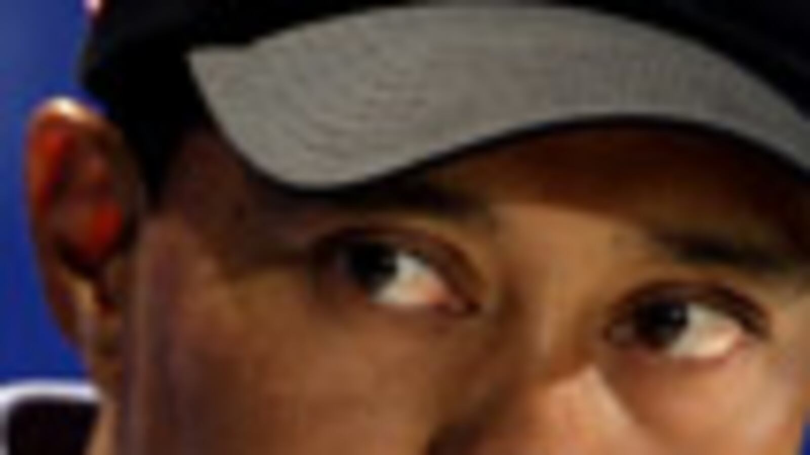 cheats/2009/12/03/tiger-was-amazing-in-bed/dezenhall-tiger-woods_66608_wi2asm