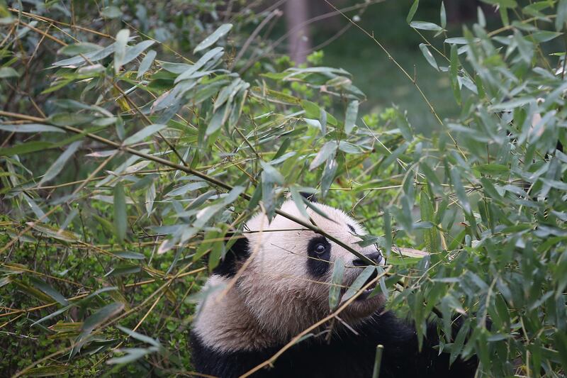 galleries/2014/03/30/the-week-in-photos-march-29-2014/140328-week-photo12_hgjg0k