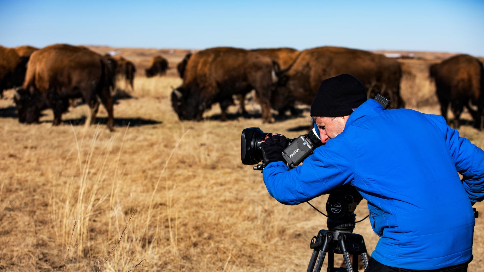 A photograph of Ken Burns filming The American Buffalo.
