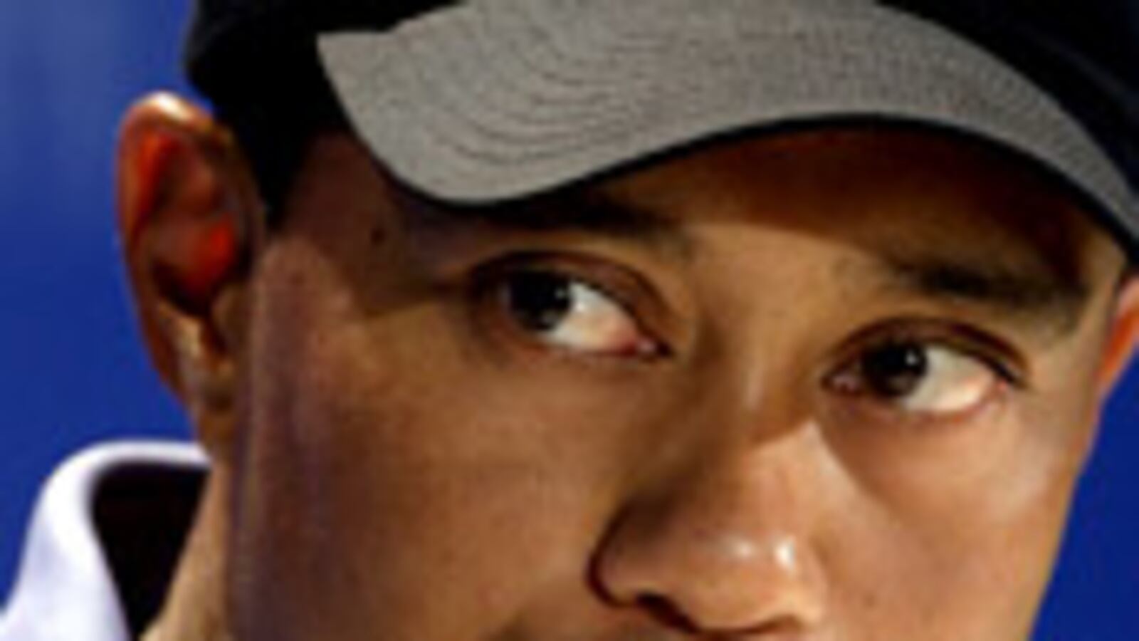 articles/2009/12/02/could-it-get-worse/dezenhall-tiger-woods_66606_qdojyj