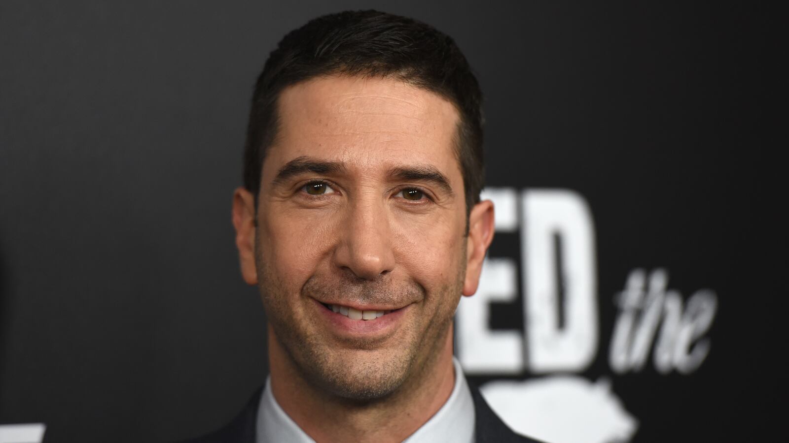 David Schwimmer at a premiere in 2016.