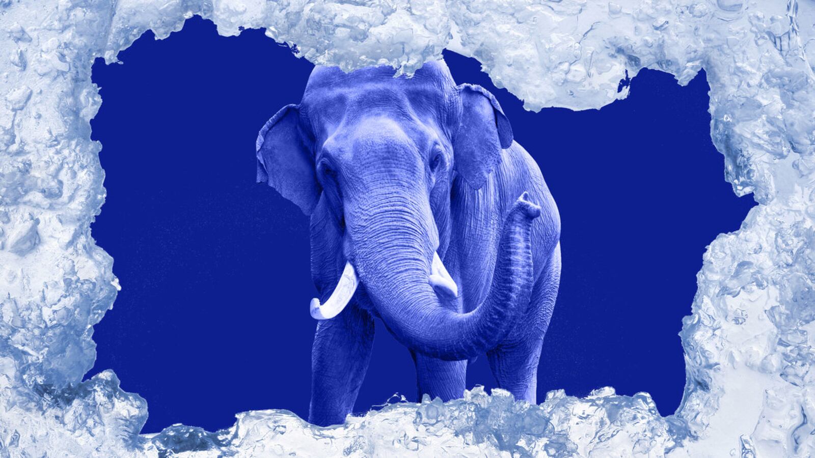 210112-brodey-republicans-tease-2_epcjsx