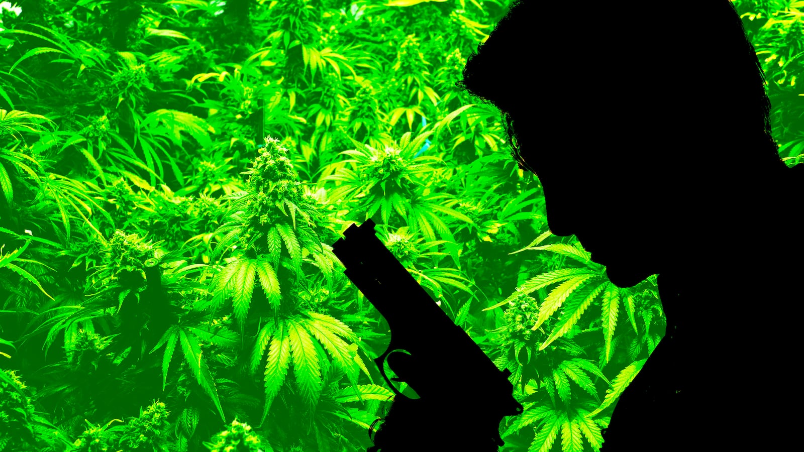 articles/2016/04/27/family-massacre-reveals-ohio-s-massive-illicit-marijuana-business/160426-haglage-pot-murders-tease_dnk4dg