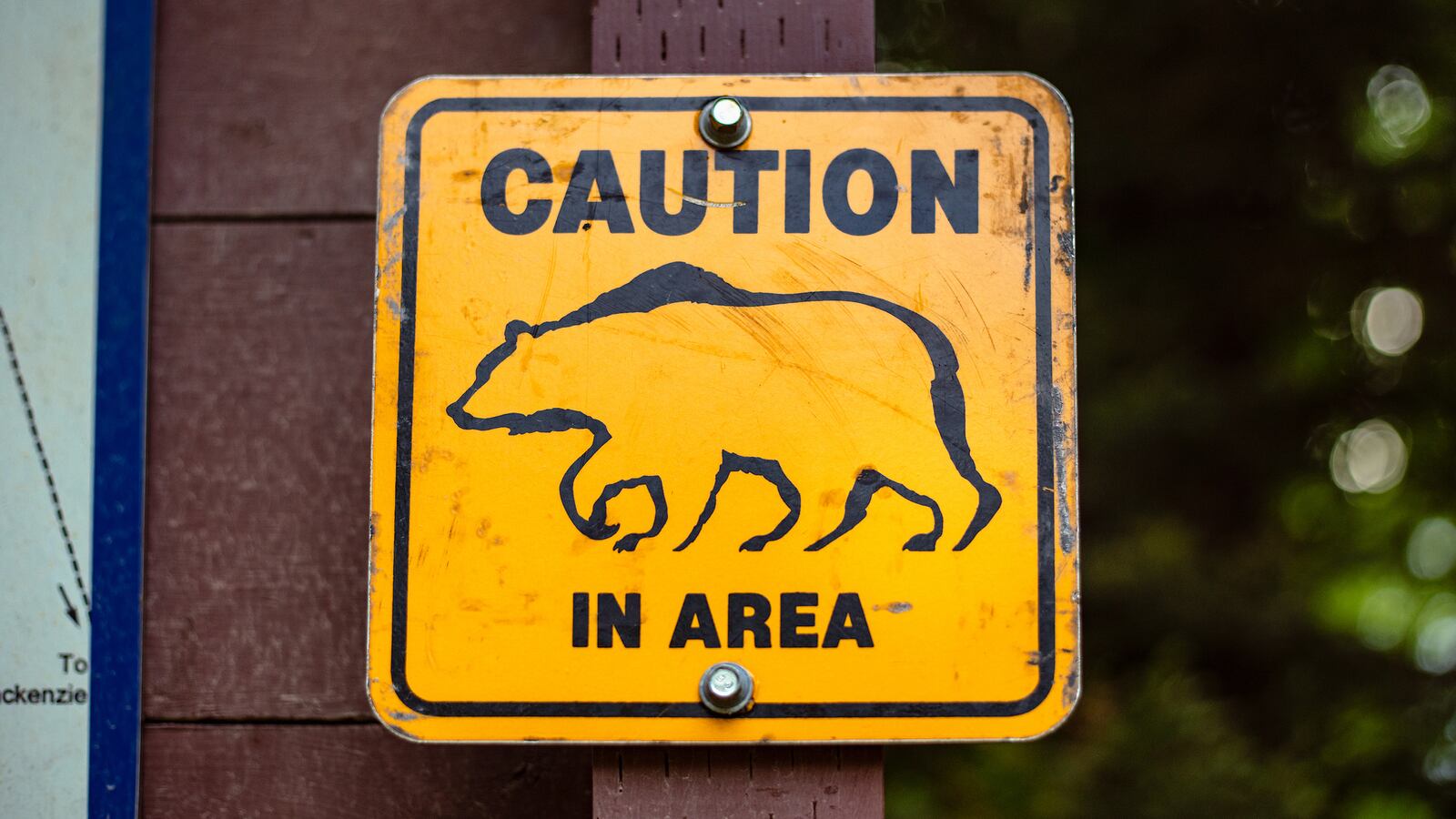 GettyImages-1209713034_1_gdbgtc