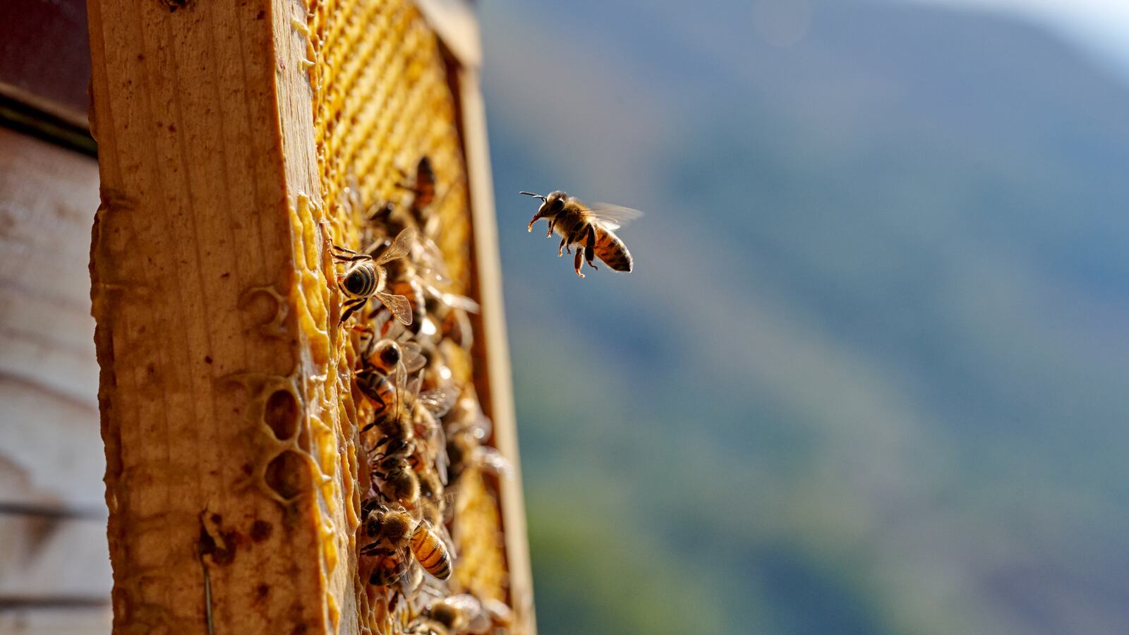 GettyImages-1390698222_1_n9wcnf