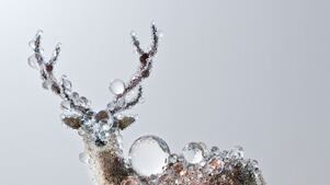 articles/2011/03/17/bye-bye-kitty-at-the-japan-society-in-new-york-review/gopnik-nawa-pixcell-deer_166653_gpybbu