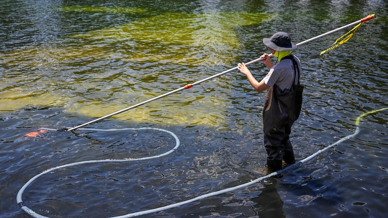 U.S. National Park Service employee works to remove algae in the Lincoln Memorial Reflecting Pool after recent renovations following a directive from U.S. President Donald Trump to paint it blue ahead of the 250th anniversary of U.S. independence, in Washington, D.C., U.S., June 20, 2026. REUTERS/Daniel Heuer
