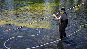 U.S. National Park Service employee works to remove algae in the Lincoln Memorial Reflecting Pool after recent renovations following a directive from U.S. President Donald Trump to paint it blue ahead of the 250th anniversary of U.S. independence, in Washington, D.C., U.S., June 20, 2026. REUTERS/Daniel Heuer