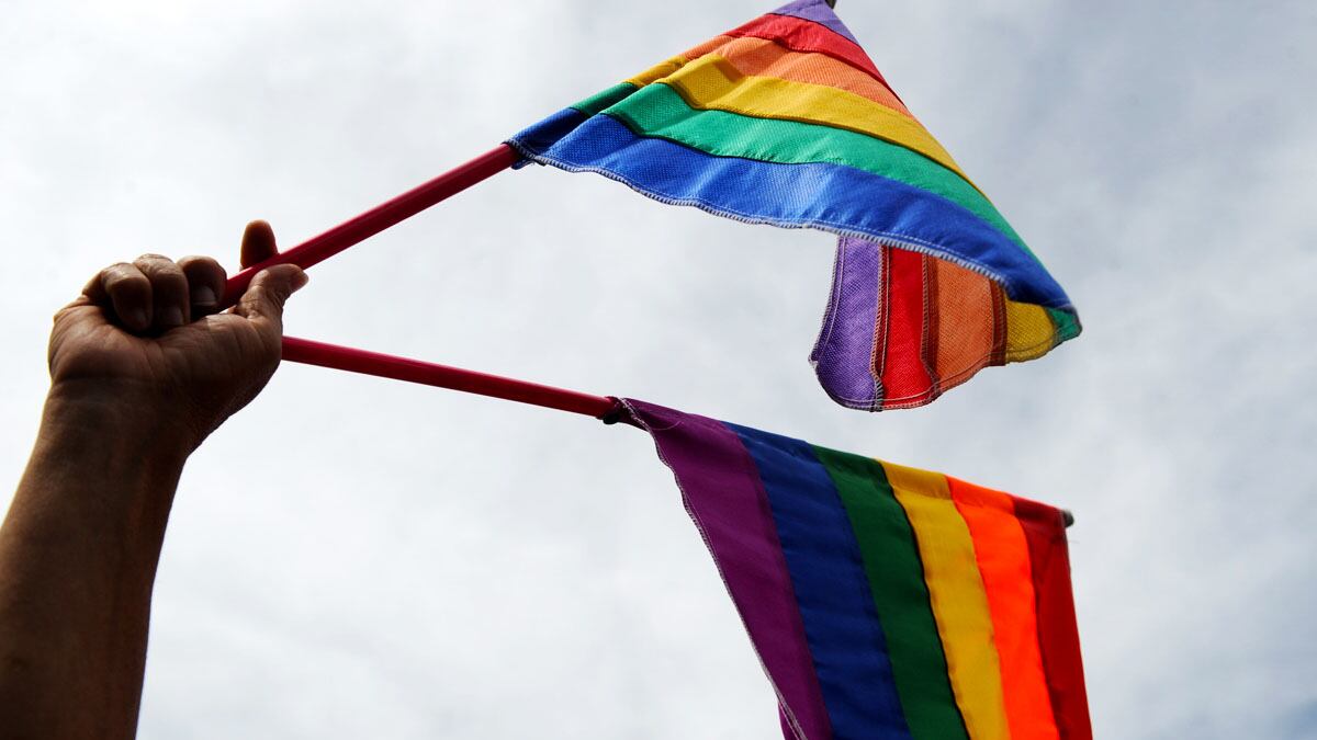 cheats/2012/03/15/uganda-groups-sues-u-s-preacher/gay-pride-flag-cheat_djtuwg