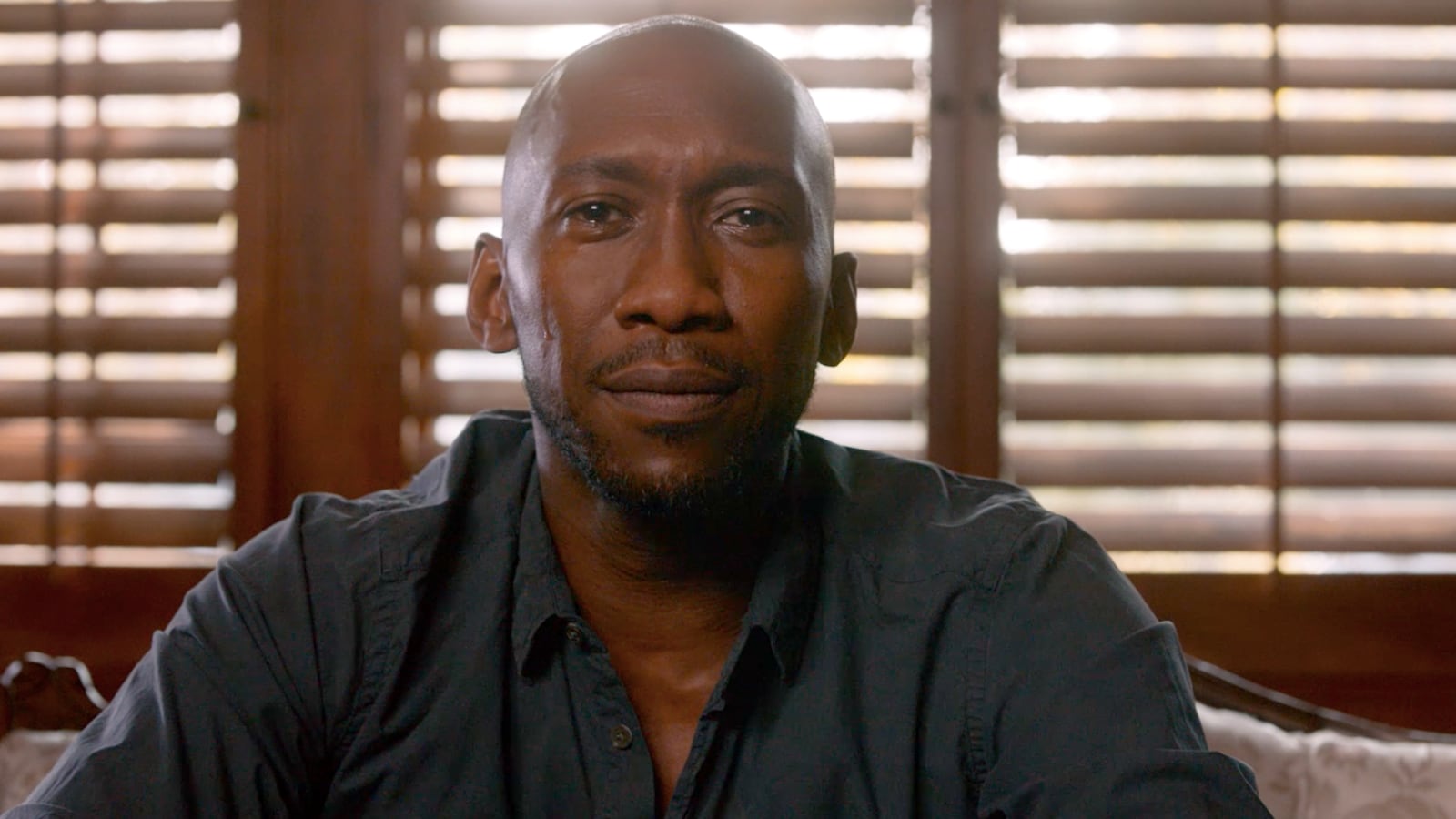 Screen_Shot_2020-11-21_at_3.06.57_AM_msfdmf