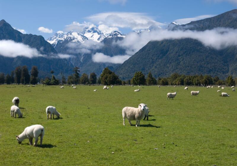 galleries/2010/02/15/the-laziest-countries-in-the-world/slothiest-countries---new-zealand_t5akoh