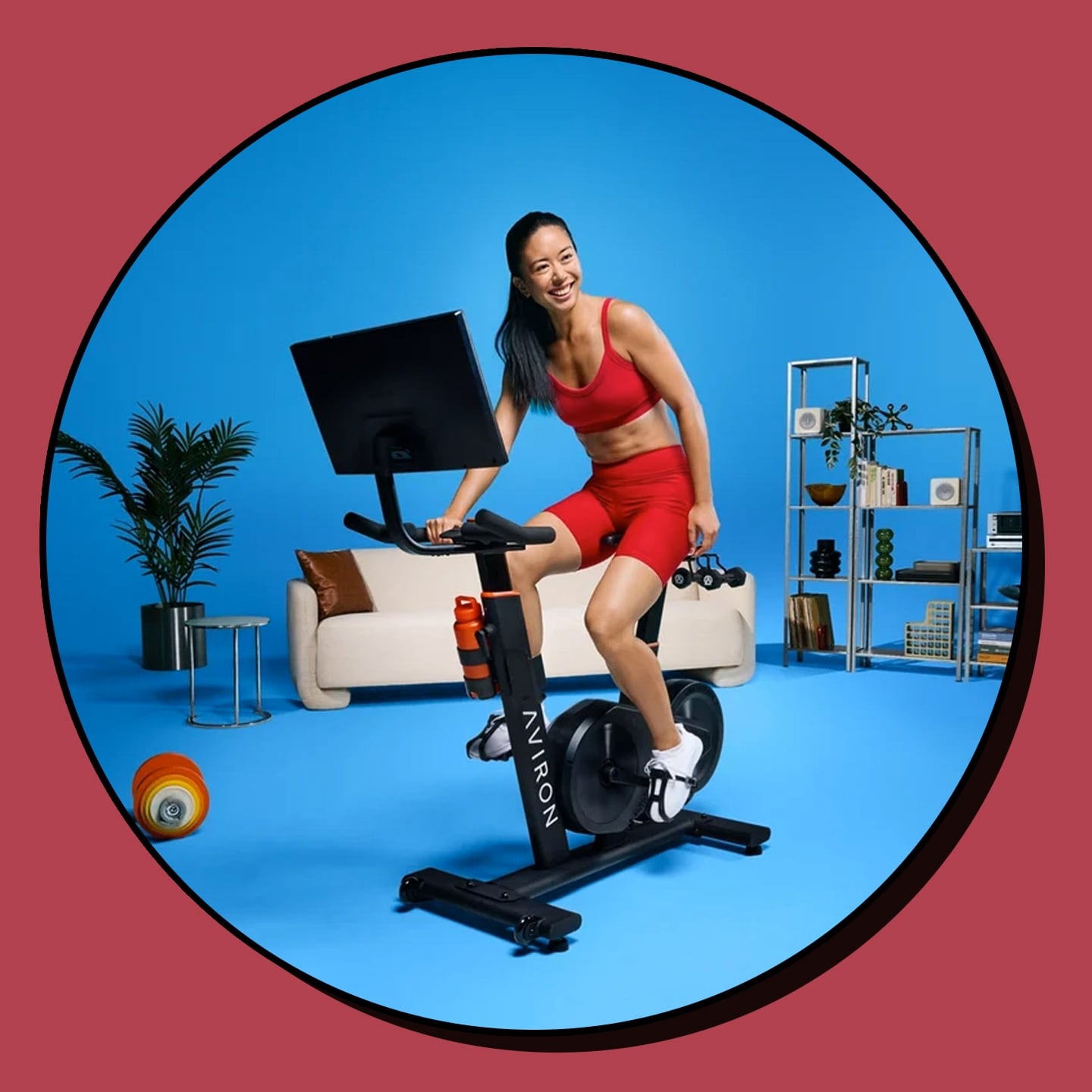 Aviron the Fit S Bike