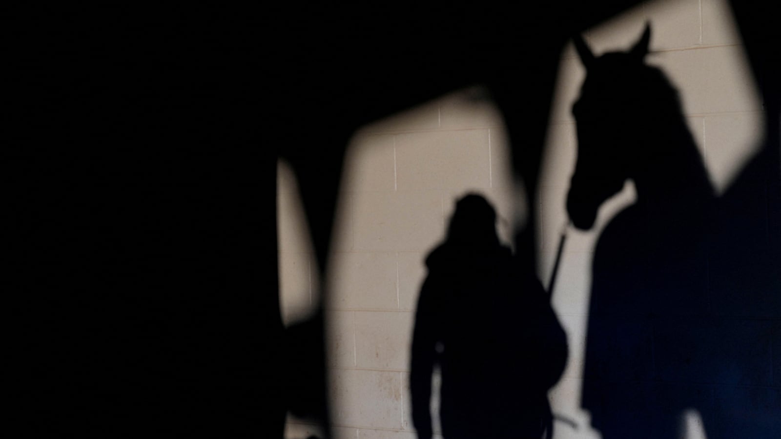 A horse walks on Churchill Downs' backside Wednesday morning