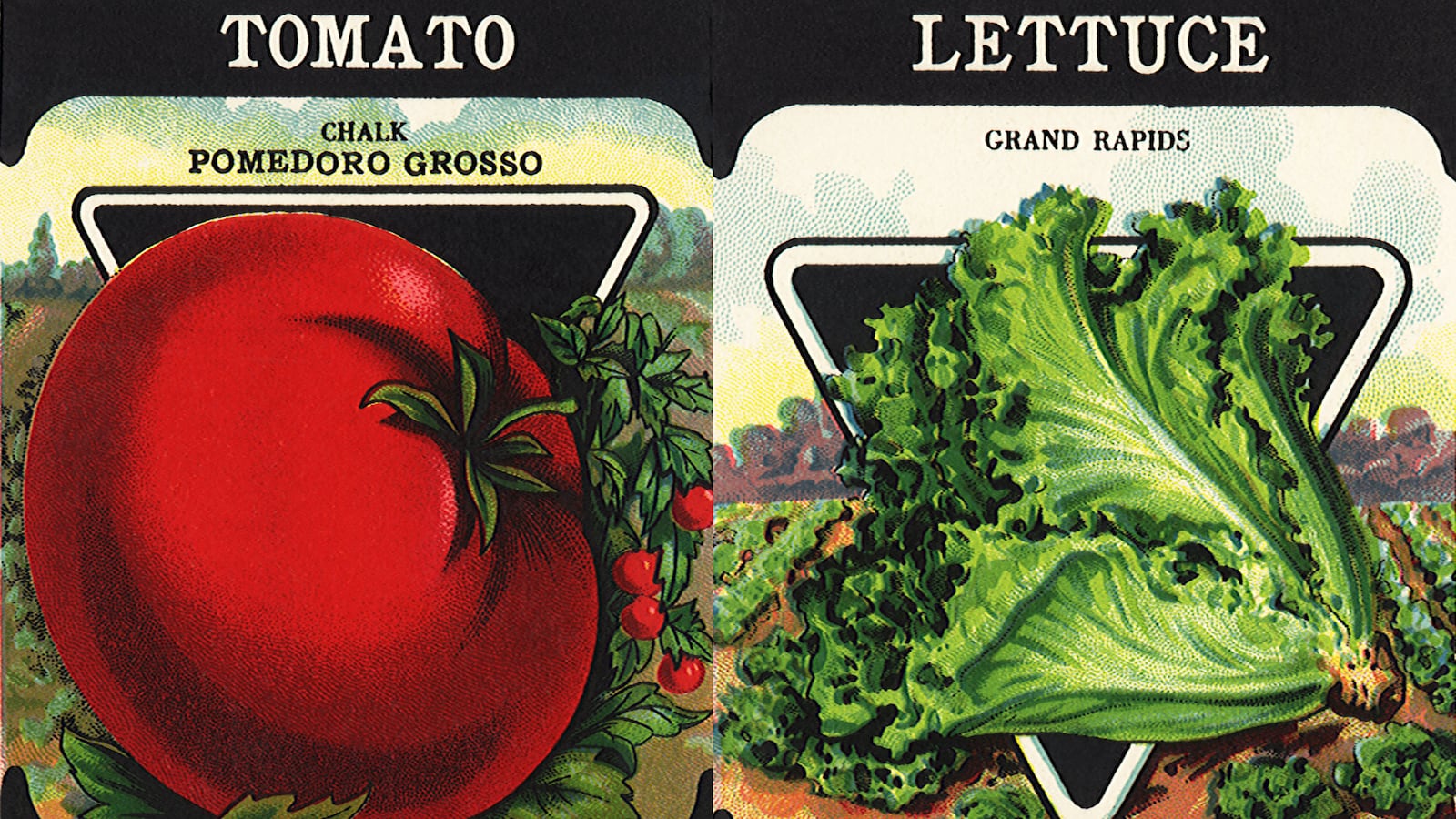 210319-Rothbaum-summer-veggie-garden-tease_idx4dx