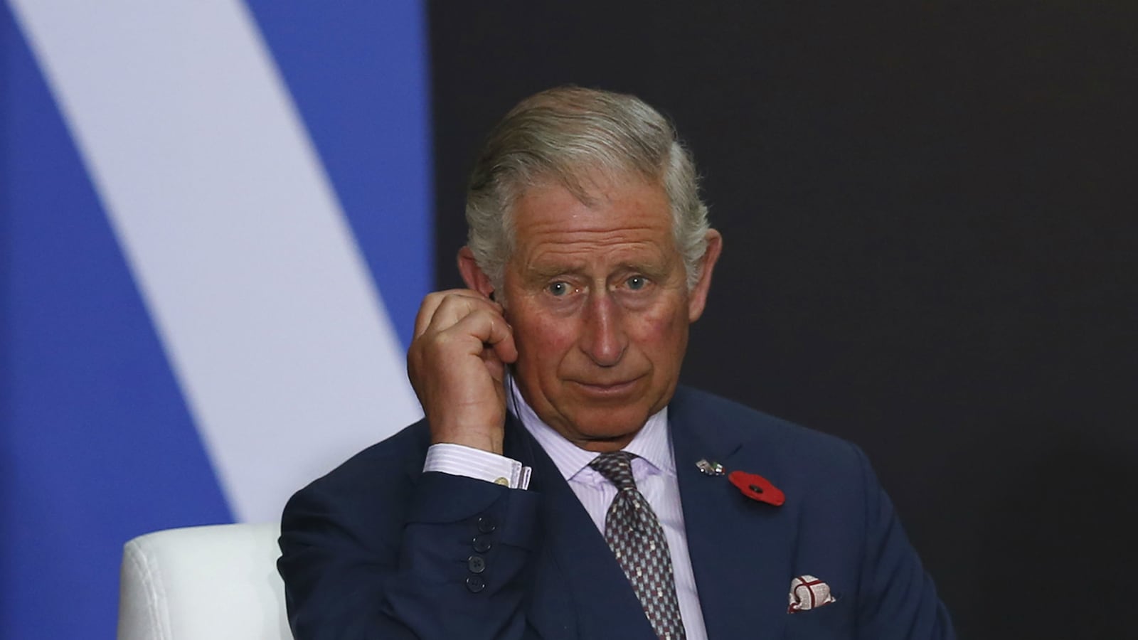 cheats/2014/11/19/prince-charles-plans-to-be-activist-king/141119-prince-charles-cheat_jrtgo8