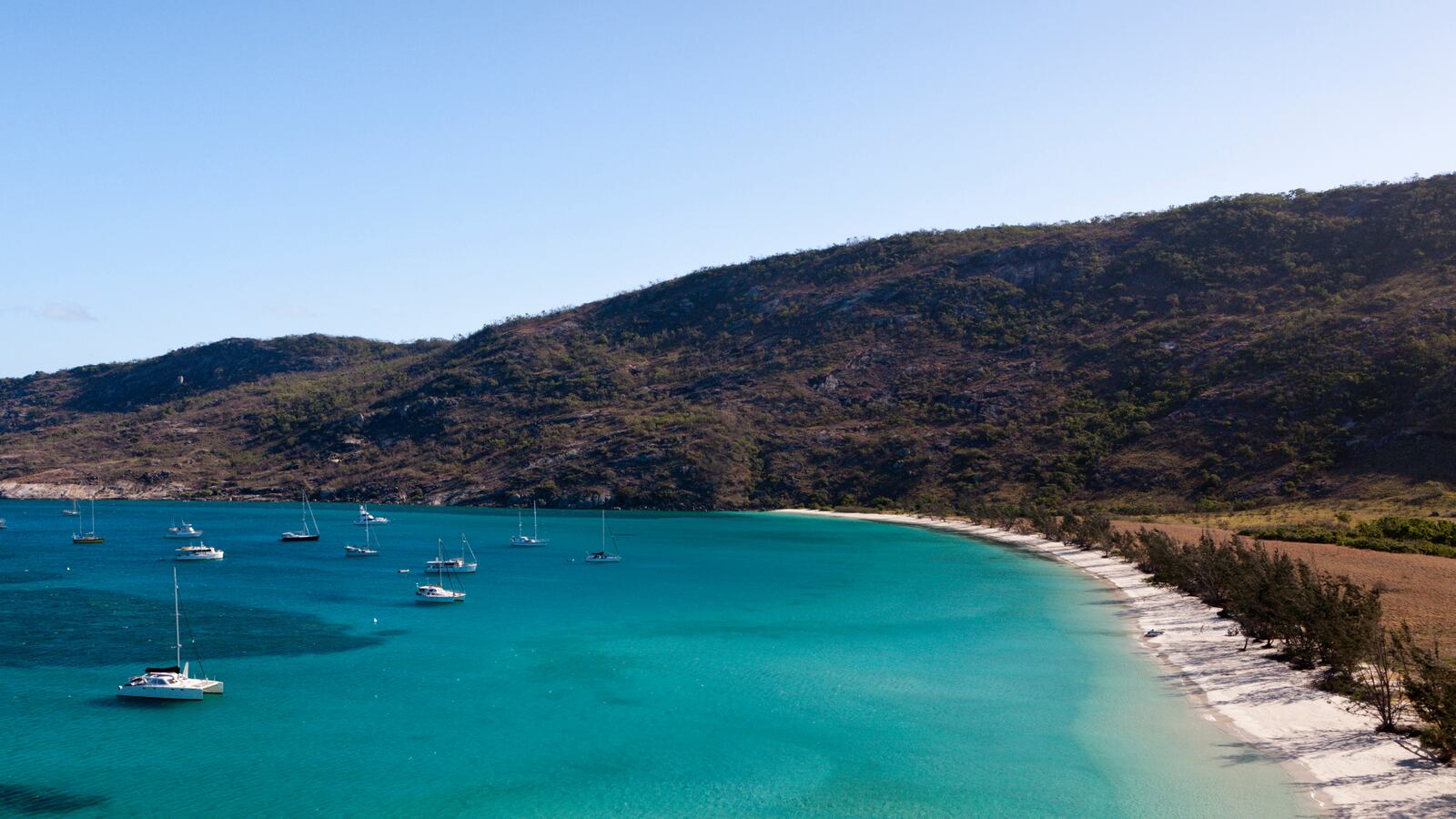 Watsons Bay Lizard Island, Great Barrier Reef, Australia