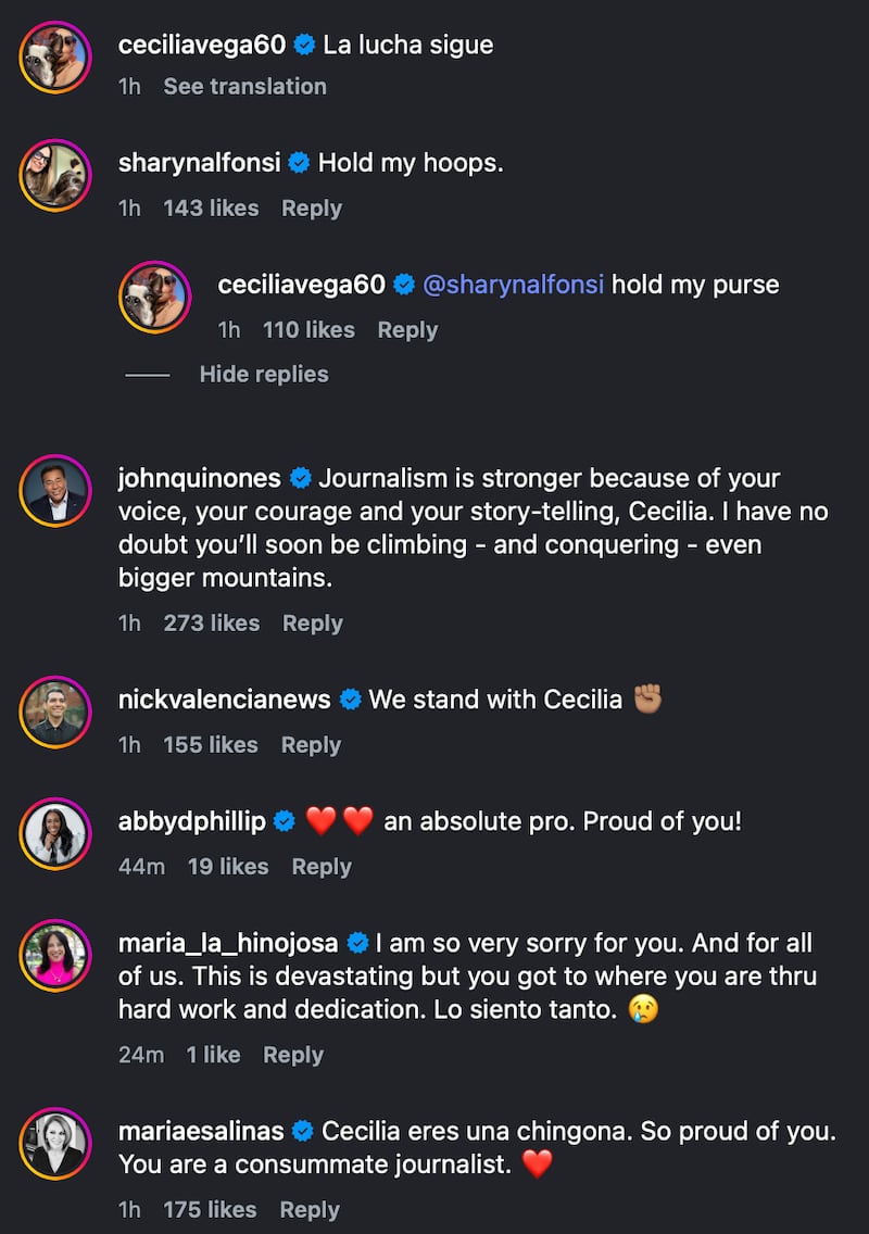 Colleague support in Cecilia Vega's comments section on Instagram.