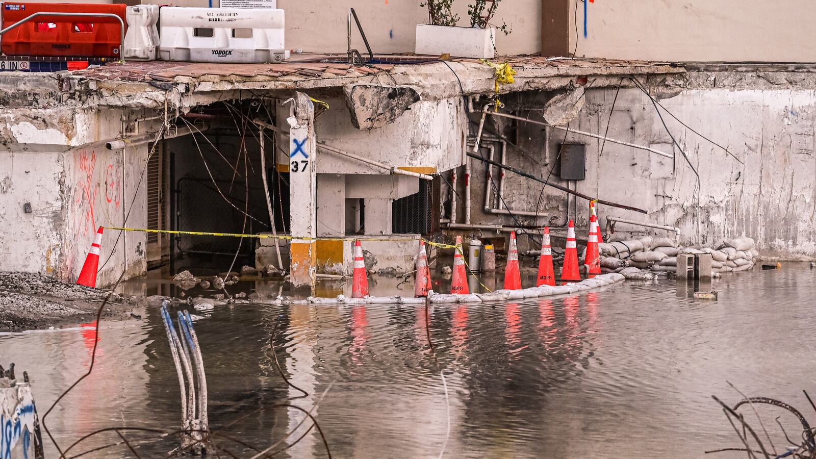 GettyImages-1234138278_morsmu