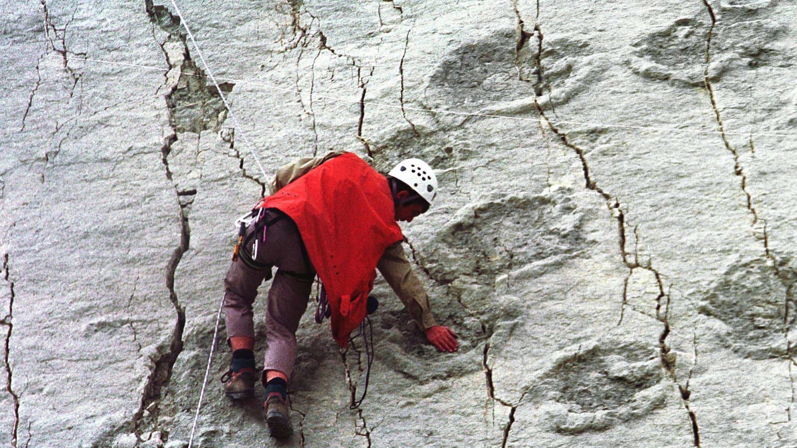 articles/2013/10/24/294-dinosaurs-once-walked-on-this-wall-in-bolivia/131023-strochlic-dinosaur-tease-embed_gr6u0q
