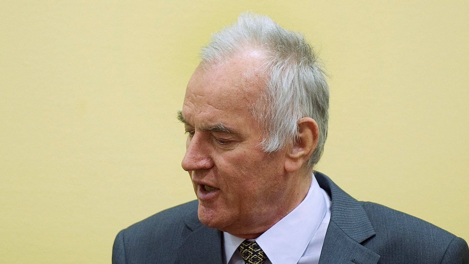 cheats/2012/05/16/mladic-war-crimes-trial-begins/ratko-mladic-war-crimes-cheat_wl1bws