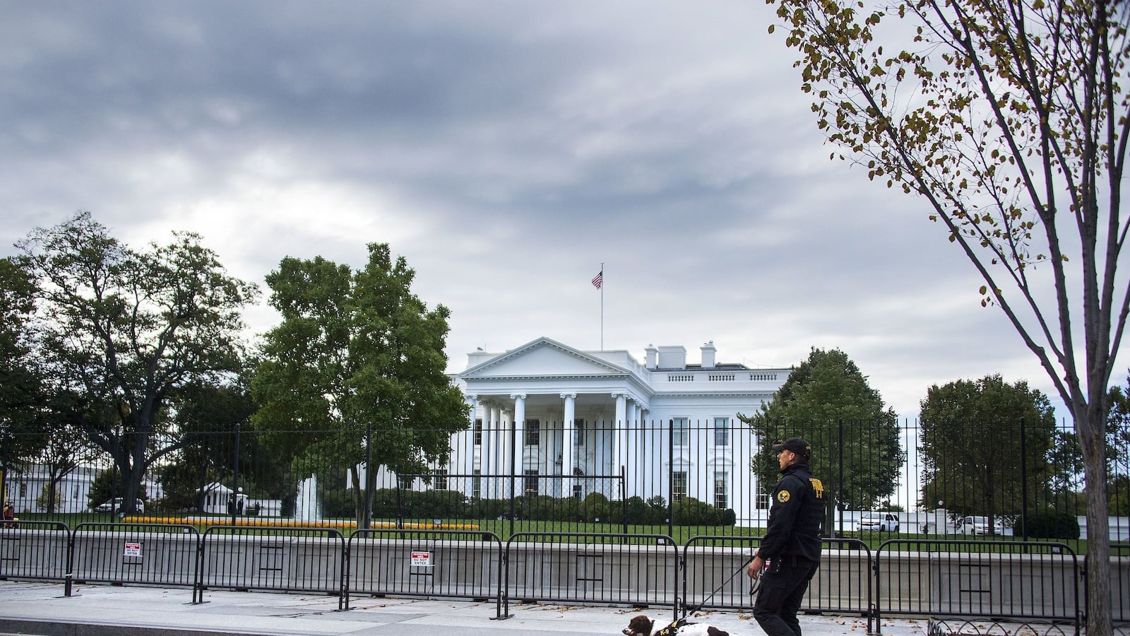 cheats/2014/11/21/woman-with-gun-arrested-outside-white-house/141121-white-house-cheat_c2fveu