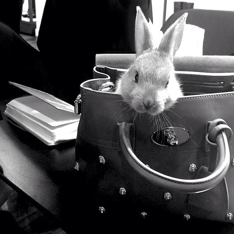 galleries/2014/06/08/from-cara-delevingne-to-lupita-nyong-o-the-11-best-fashion-instagrams/140606-fashion-instagram5_glpdyd