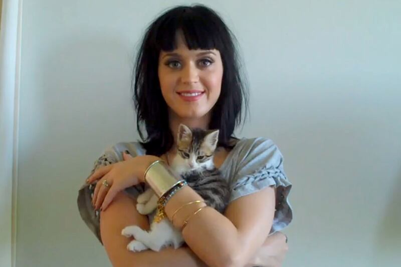 galleries/2012/08/05/kristen-stewart-robert-pattinson-more-pet-custody-battles-photos/animal-custody-battle-perry_qy07bp