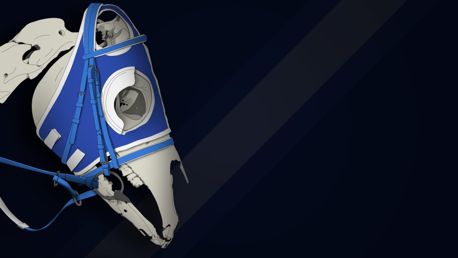 200308-hitt-death-of-horse-racing-hero_edkg28