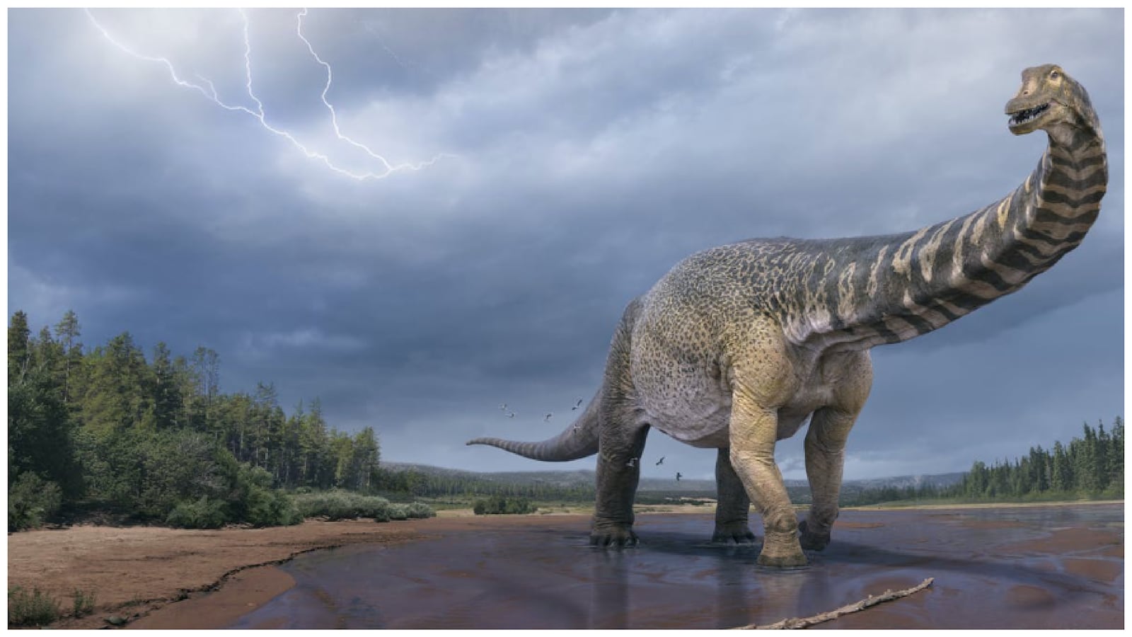 Blank_3000_x_1688_2_tnm4ef