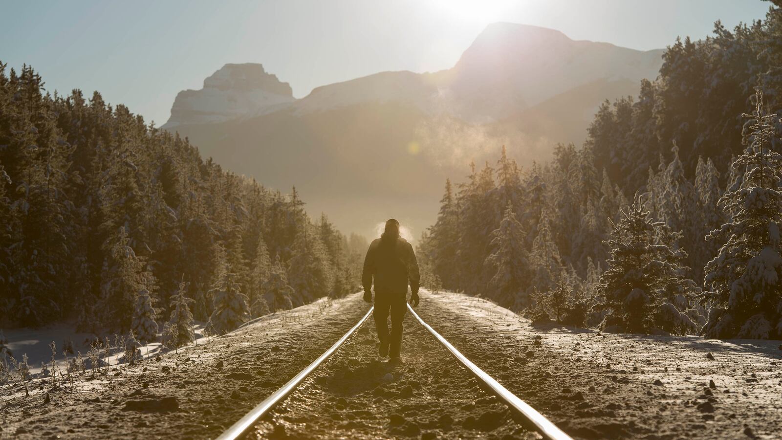 210530-webster-freedom-tease_v2hdvr