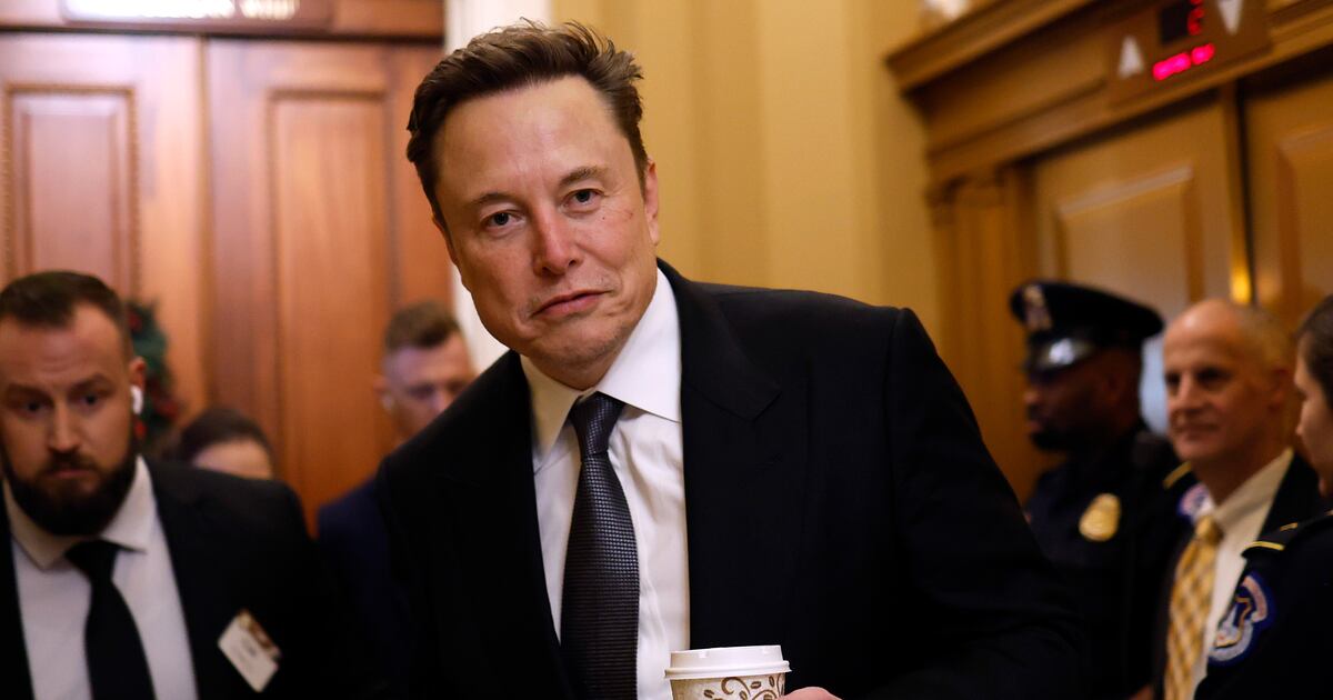 Anyone Can Hack Elon Musk’s DOGE Website, Coders Say