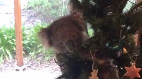 Screen_Shot_2020-12-03_at_11.34.01_pqjyl2