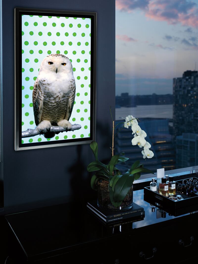 galleries/2012/10/21/neiman-marcus-fantasy-gifts/neiman-marcus-wol_hztevj