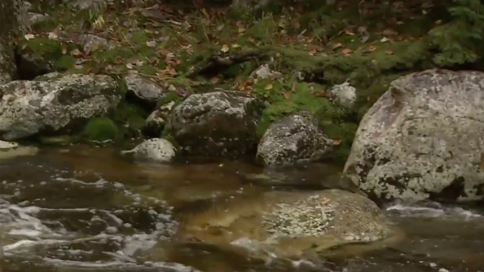 articles/2016/11/08/the-weather-channel-s-epic-election-escape-might-really-stress-you-out/161108-teeman-weather-channel-tease_qzfwq4