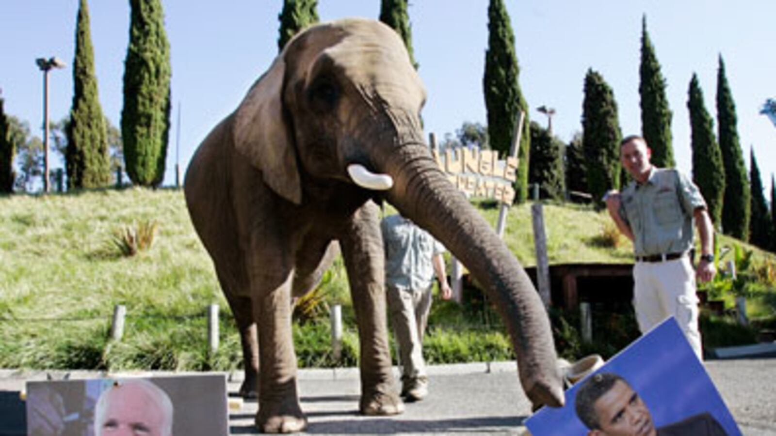 articles/2009/12/31/the-secret-language-of-elephants/simon-elephants_72655_uckrb4