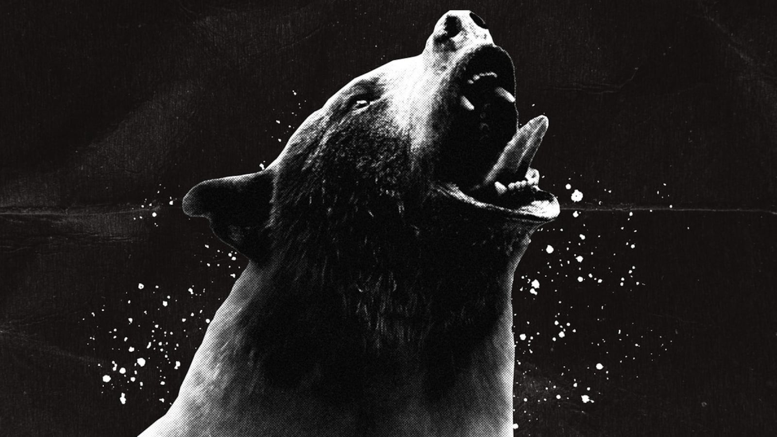 0224223-cocainebear-hero_udyydn