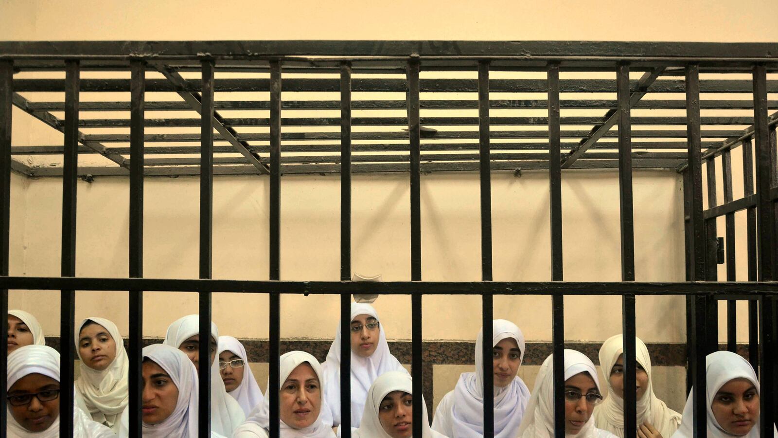 cheats/2013/12/02/egyptian-women-s-lawyer-arrested/131202-egyptian-lawyer-arrested-cheat_nu890d