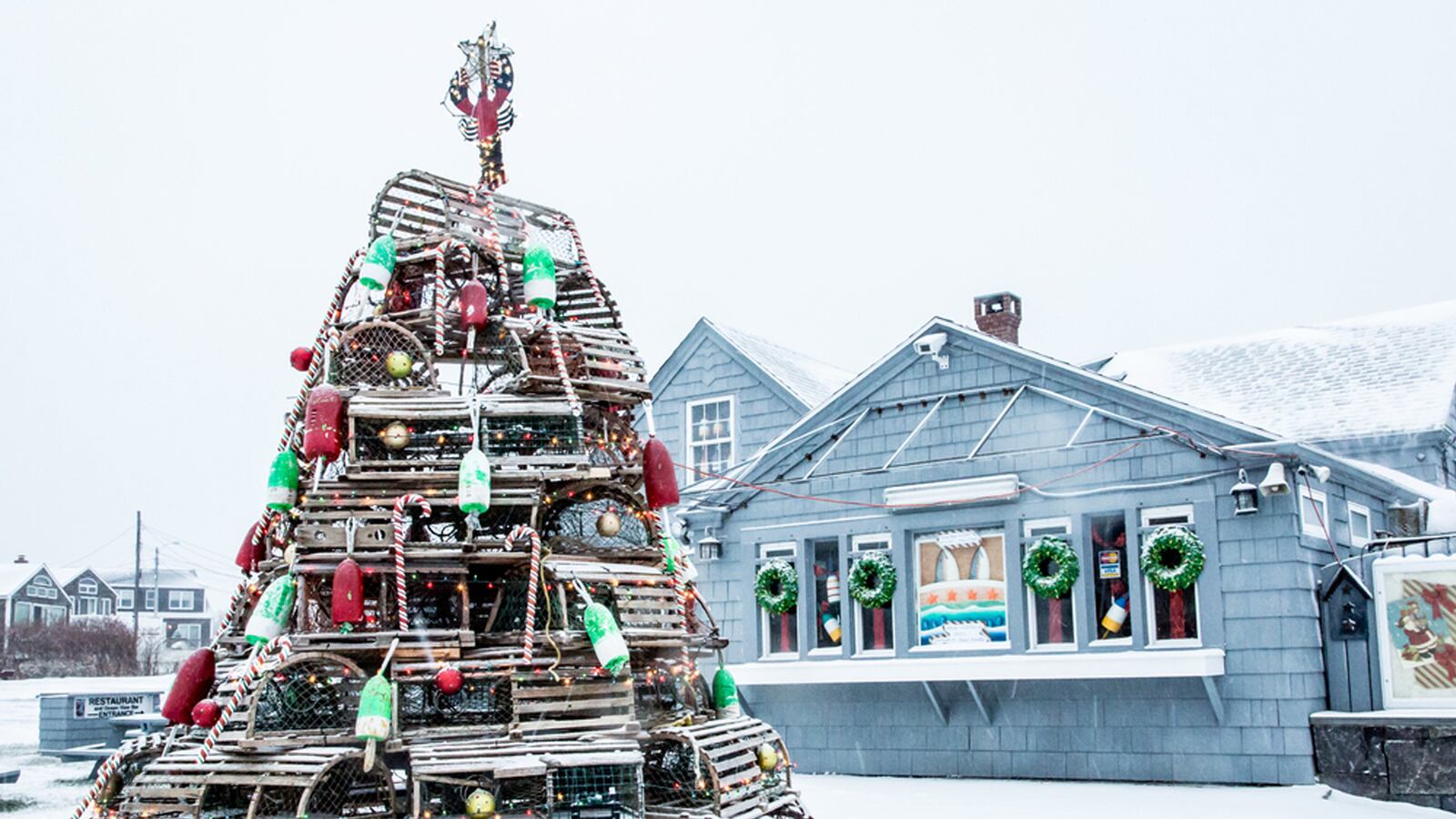 articles/2013/12/21/new-england-s-crazy-christmas-tree-tradition/131220-lobster-tree-tease_zyqgav