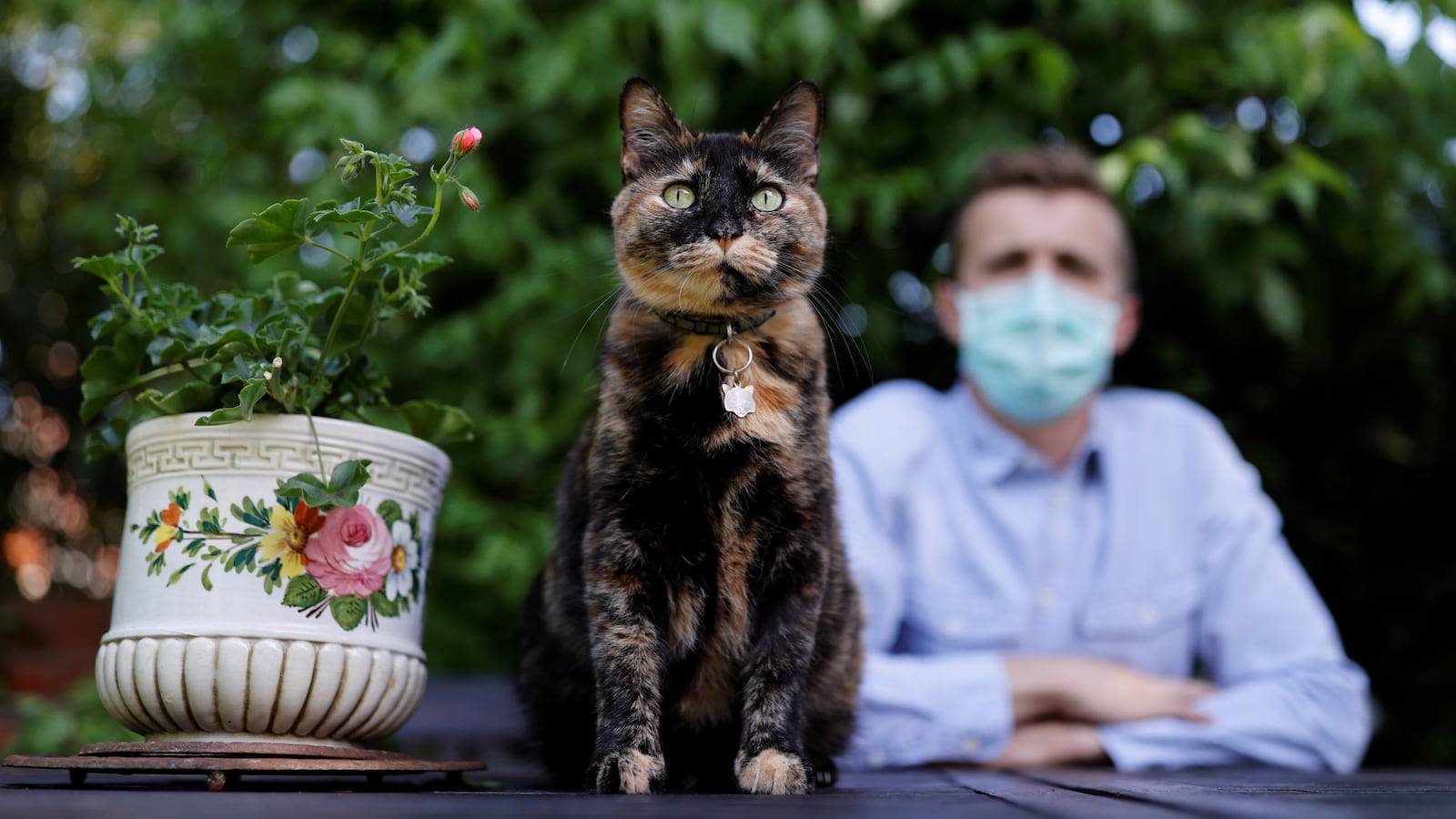 2020-05-28T000000Z_1172171747_RC2PXG9JDKF4_RTRMADP_3_HEALTH-CORONAVIRUS-FRANCE-CAT_wxy8iw