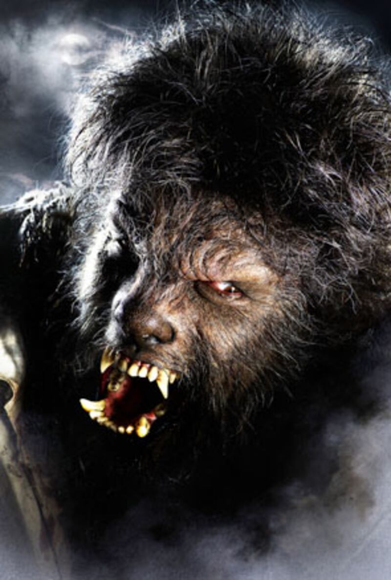 galleries/2009/11/16/hollywood-s-sexiest-werewolves/sexiest-werewolves---del-toro_oidlgv