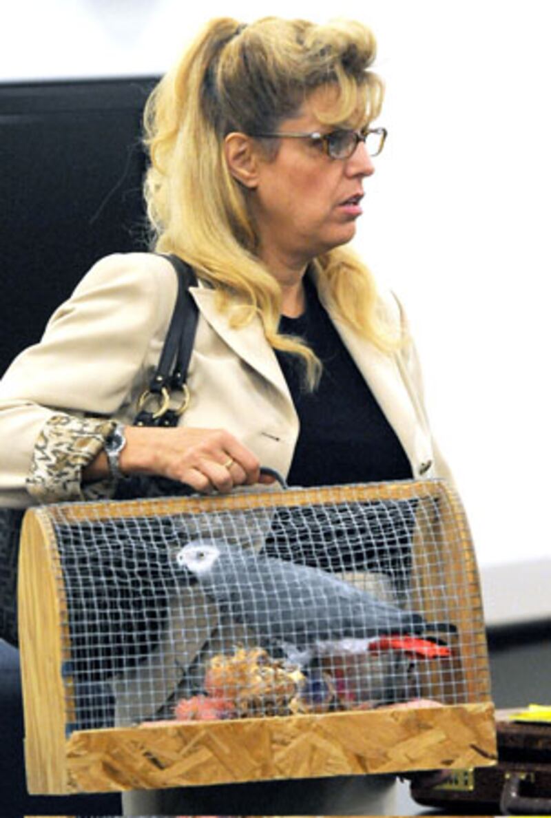 galleries/2012/08/05/kristen-stewart-robert-pattinson-more-pet-custody-battles-photos/animal-custody-battle-tequila_qb28qr